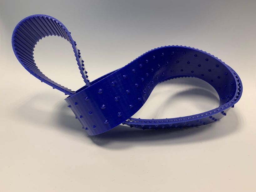 Transfood T10 spikes 